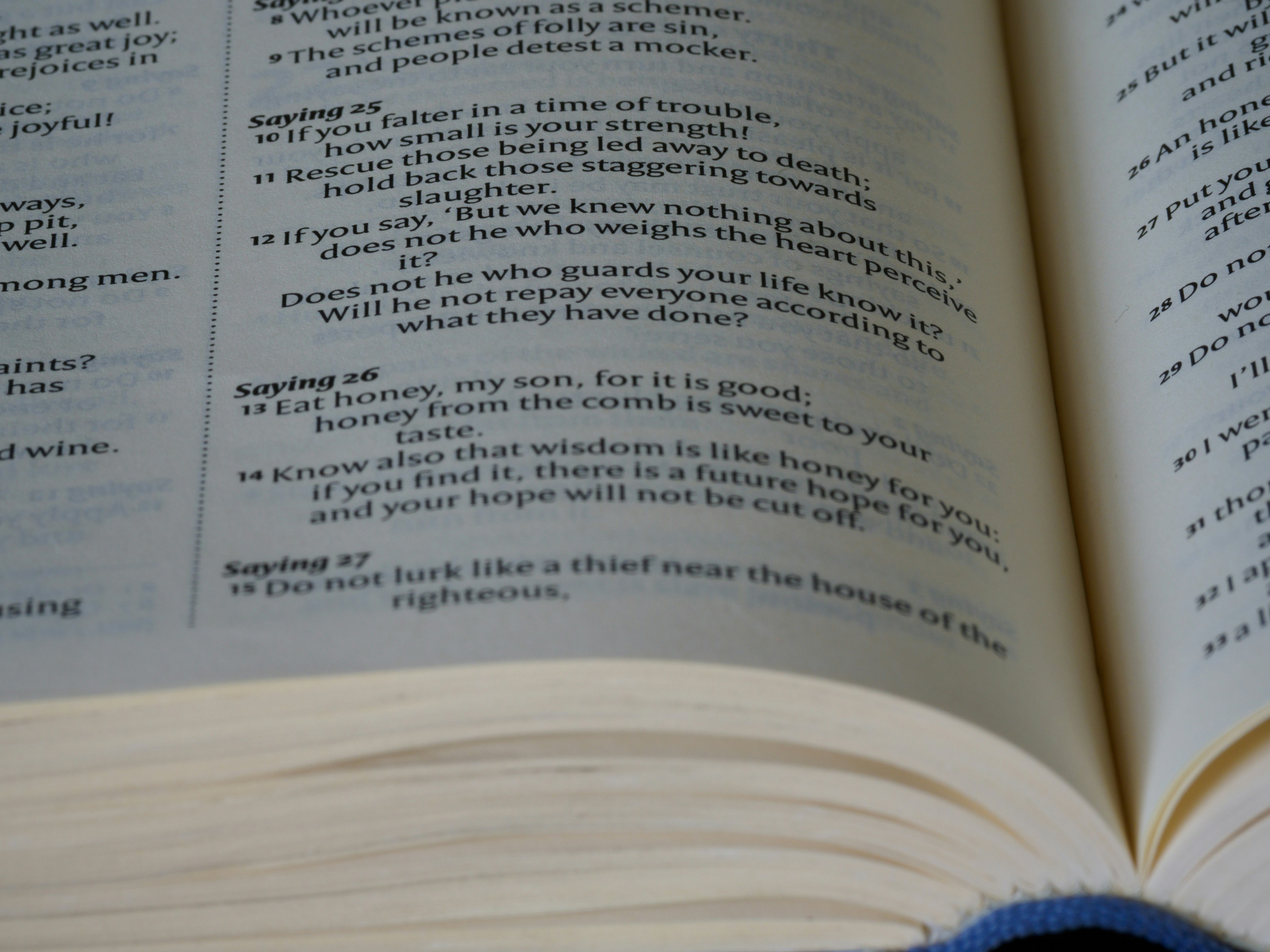 close up, bokeh, macro, blur, blurred background, close focus, bible, old testament, hebrew bible, christian, judaism, history, text, reading, bible study, devotions, text, NIV, New International Version, type, typography, canon, christianity, holy scripture, holy bible, scripture, old testament, hebrew bible, מִ?(C)ְלֵי, book of proverbs, proverbs of solomon, wisdom literature, ketuvim, anthology, solomon, wisdom, sayings, mashai, folly, values, morality, proverbs, proverb, life skills, ancient wisdom, hebrew wisdom,